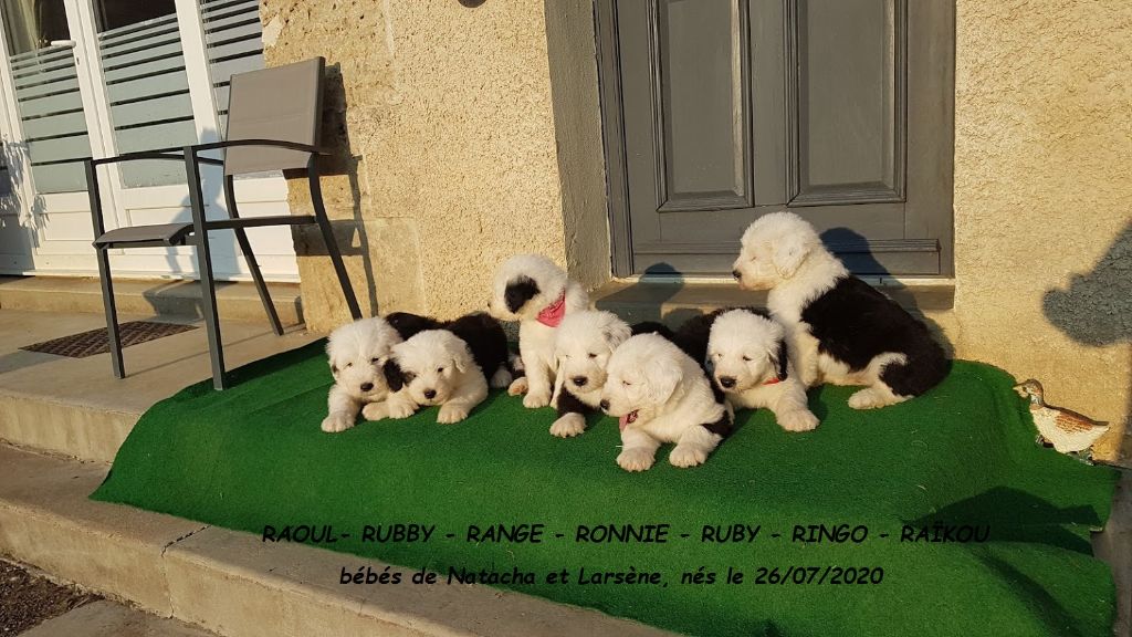 Les bébés de Natacha et Larsène 26/07/2020