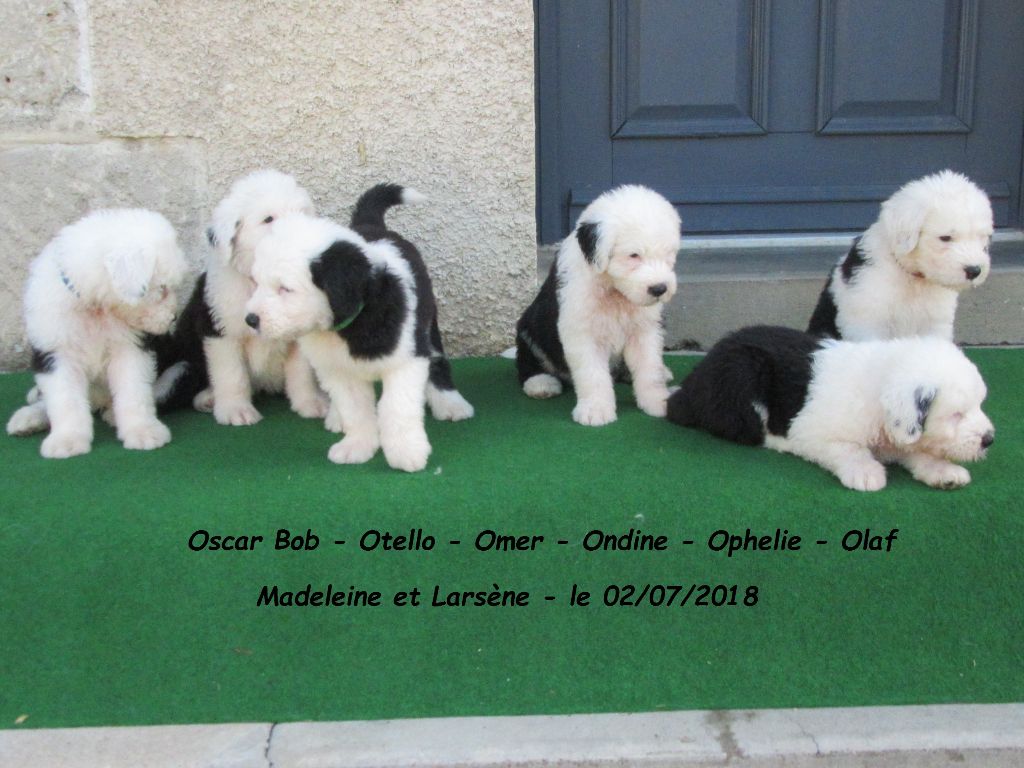 Les bébés de Madeleine et Larsène nés le 02/07/2018