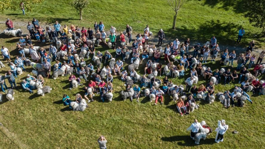 Namur 2019